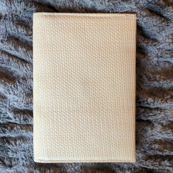 Forever 21 Pineapple Straw Clutch - Picture 5 of 5